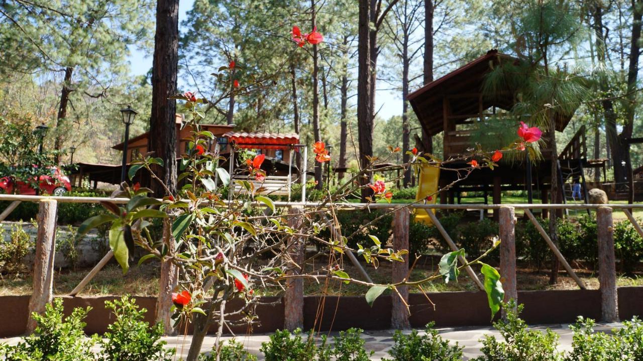 Hotel Rincon Del Bosque Mazamitla Esterno foto